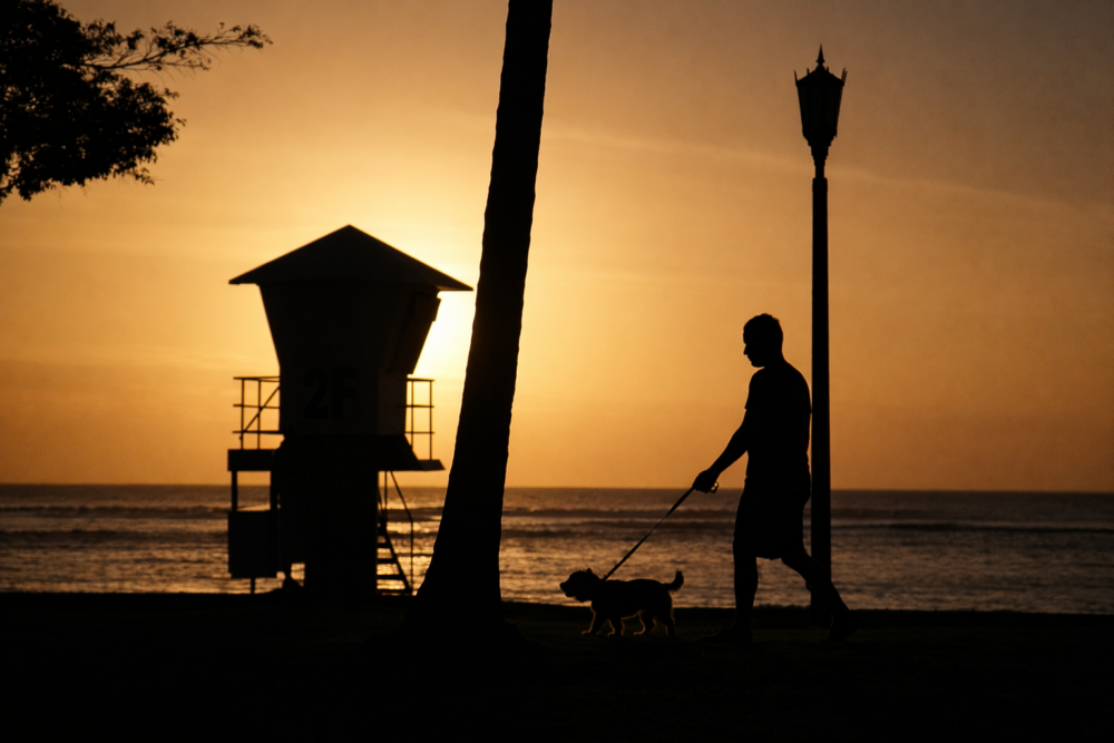 Waikiki Beach Sidewalk