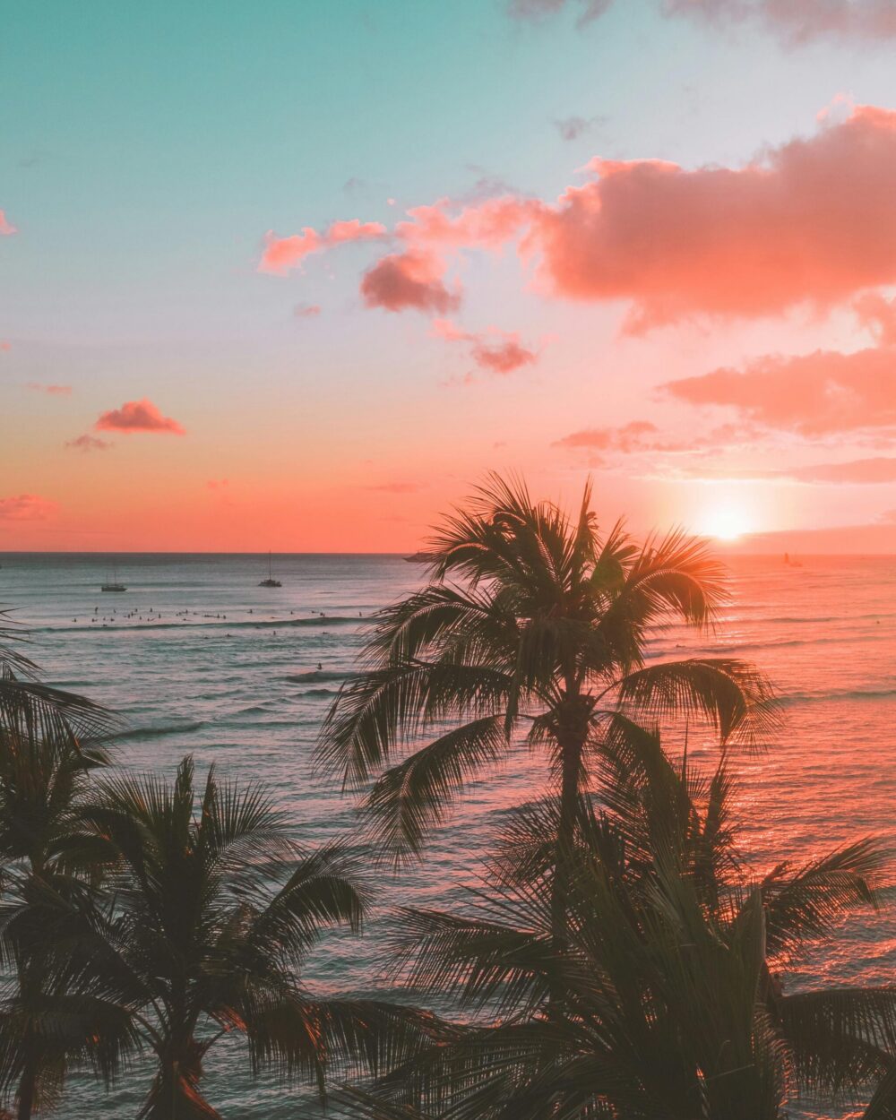 A beach scene at sunset with palm trees in the foreground and a calm ocean in the background.